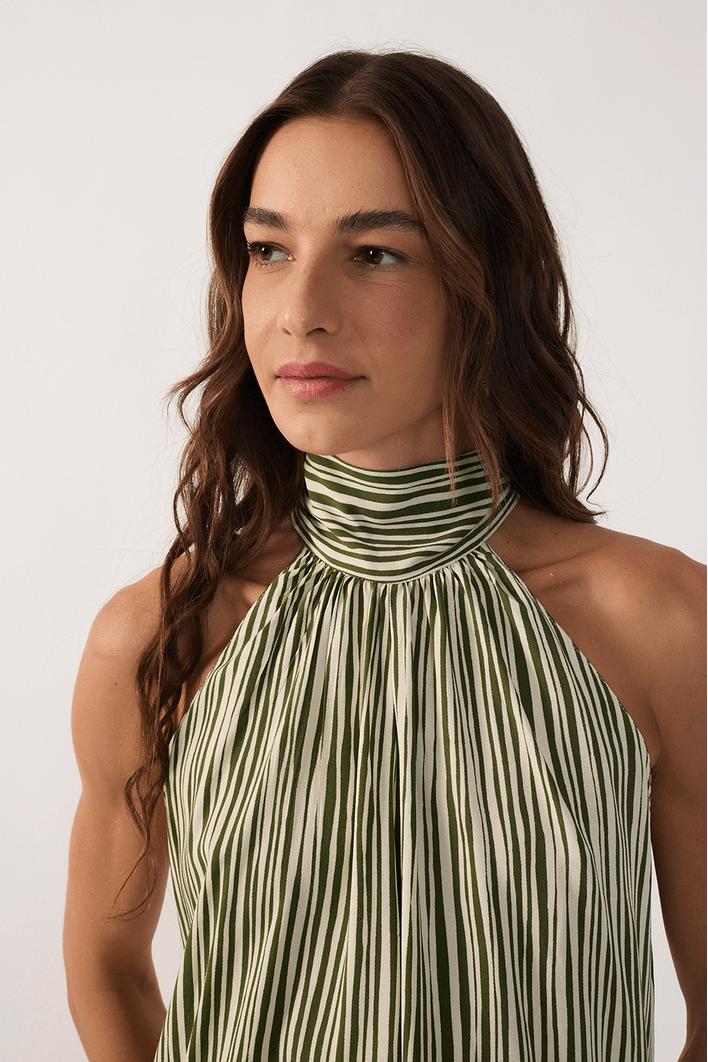 Macaquinho Est Listra Raízes