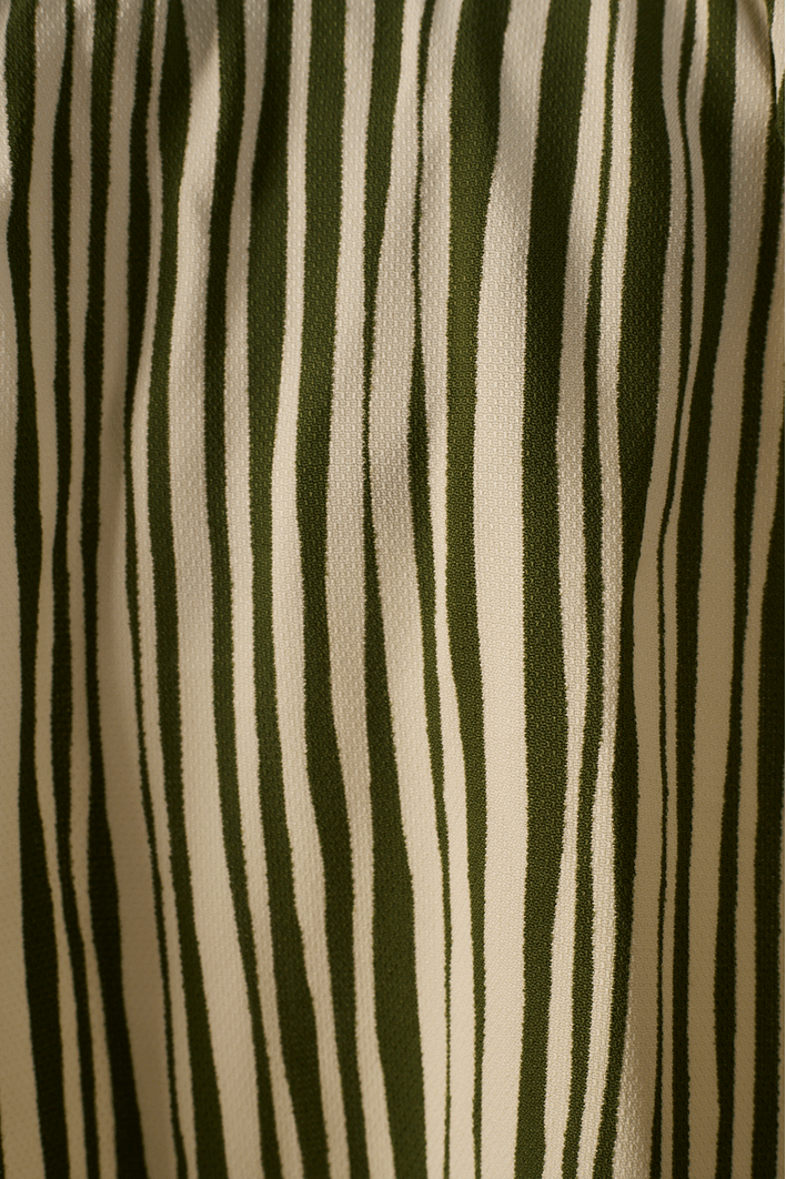 Macaquinho Est Listra Raízes