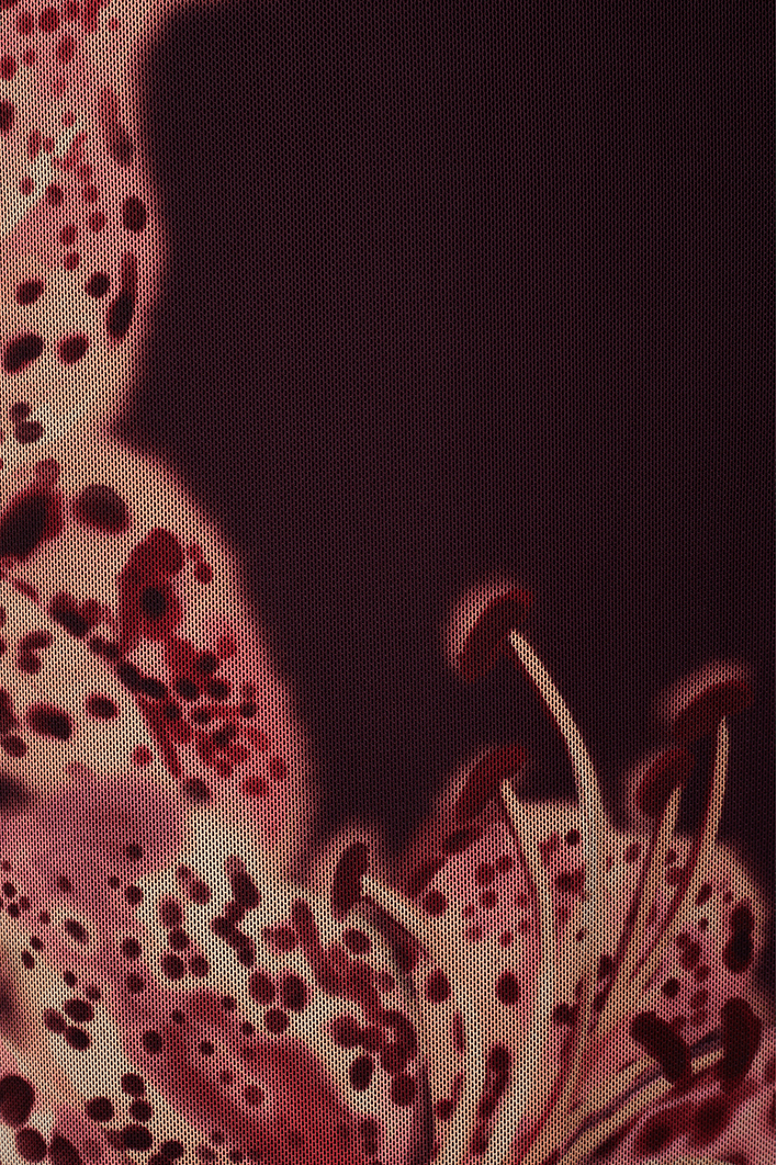 Vestido Tule Estampa Botânica