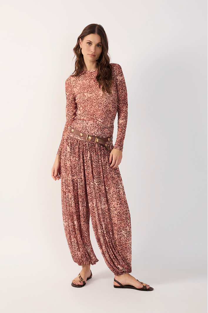 Calça Aladim Tule Estampa Garoa