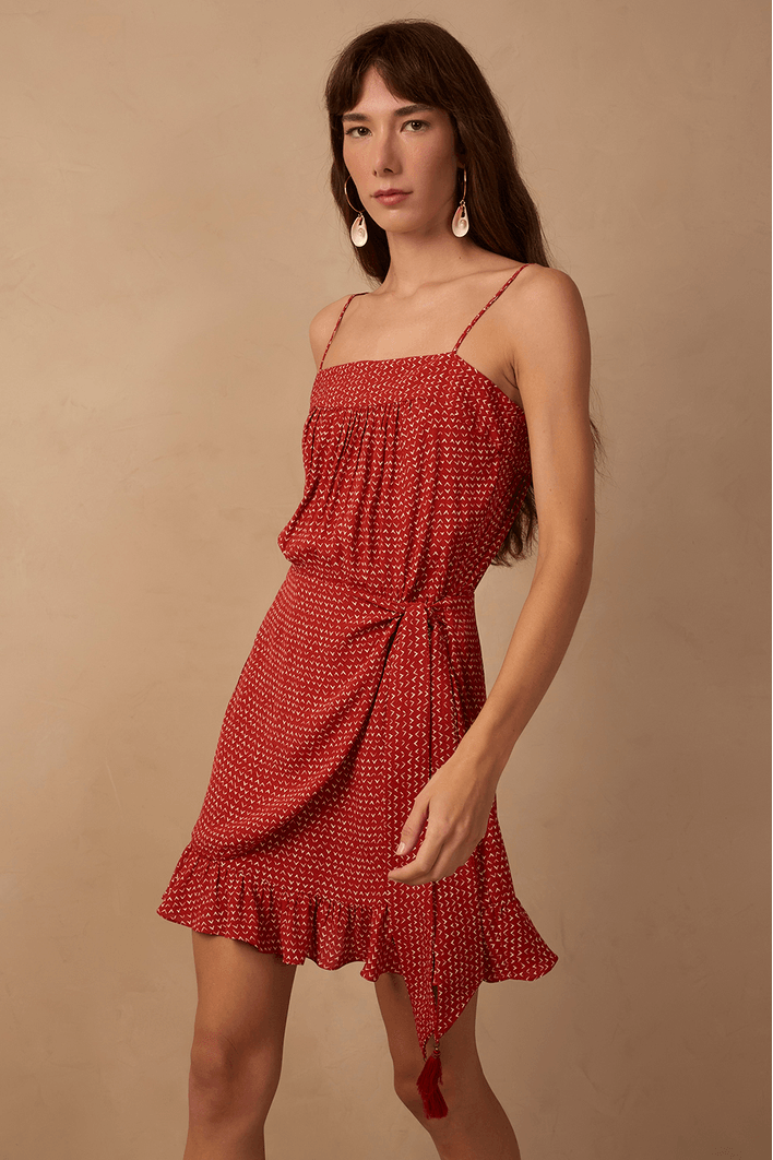 Vestido Curto Estampa Passaredo
