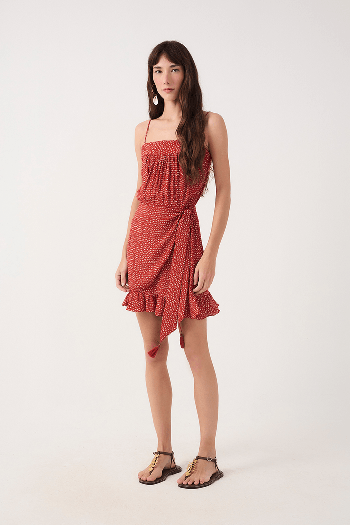 Vestido Curto Estampa Passaredo