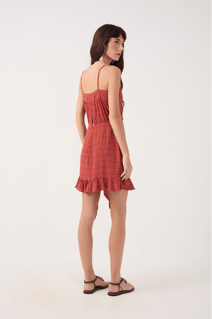 Vestido Curto Estampa Passaredo