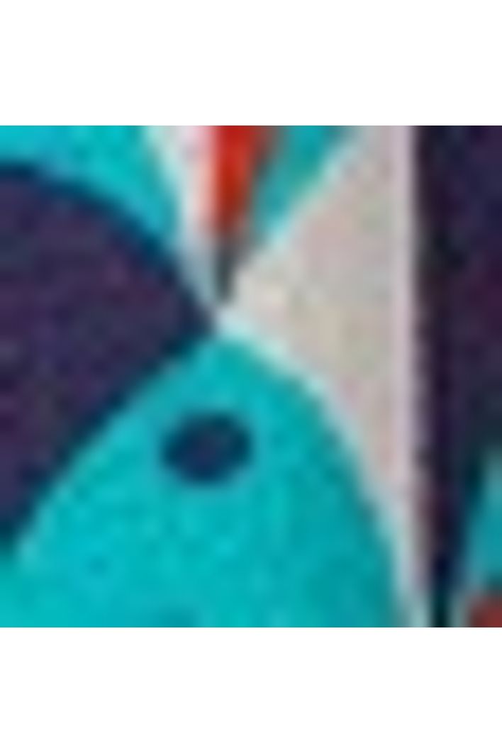 Vestido Estampa Sardina