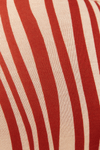 Blusa Estampa Pulsar