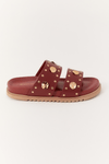 Birken Moedas