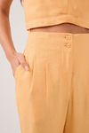 Calça Linho Pregas Frente