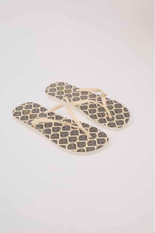 Chinelo Estampa Conchas