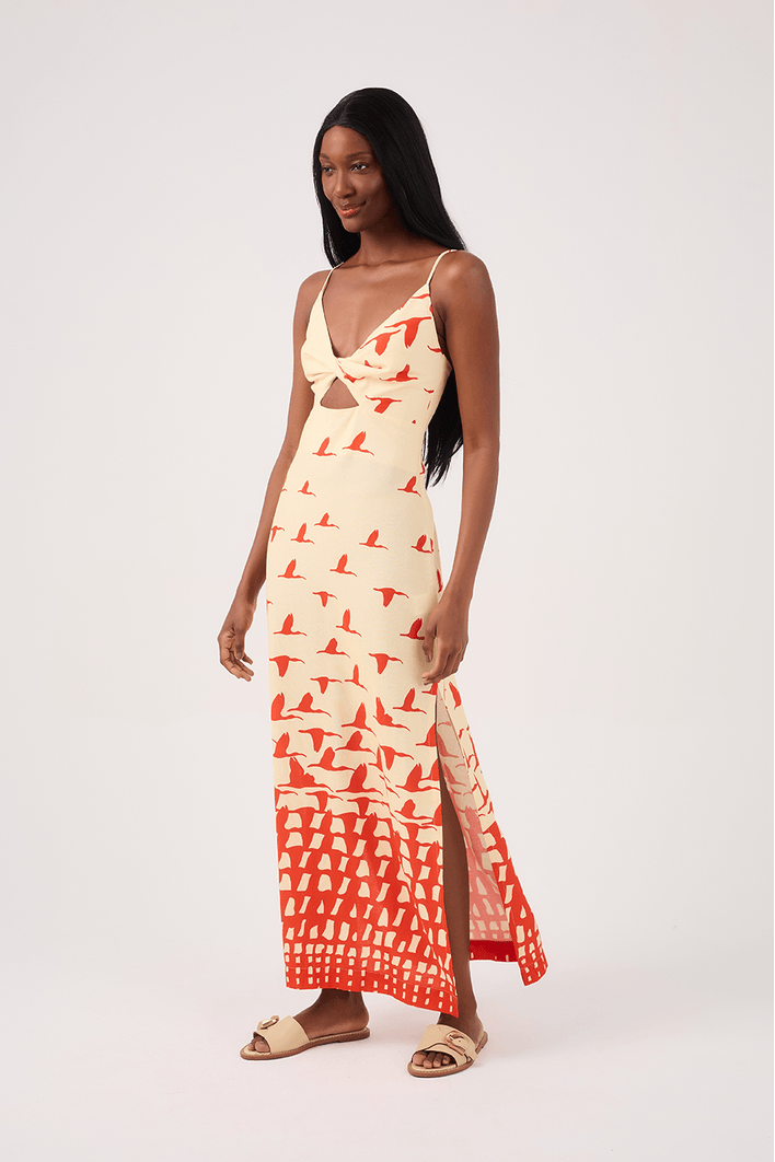 Vestido Cropped Linho Estampa Guarás