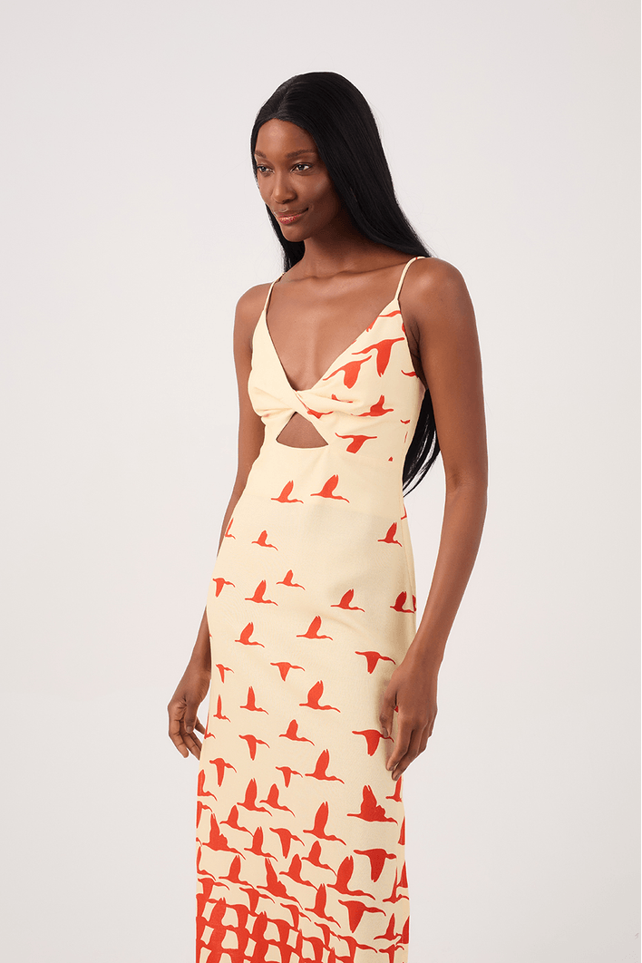 Vestido Cropped Linho Estampa Guarás