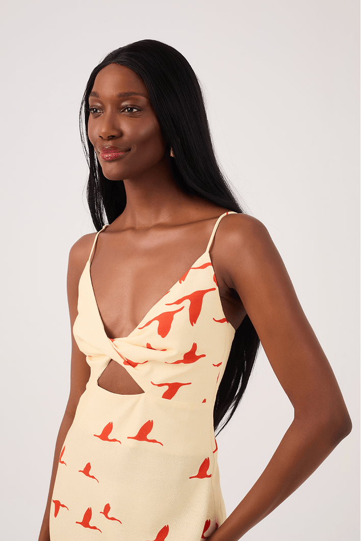 Vestido Cropped Linho Estampa Guarás