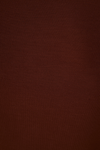 Blusa Segunda Pele