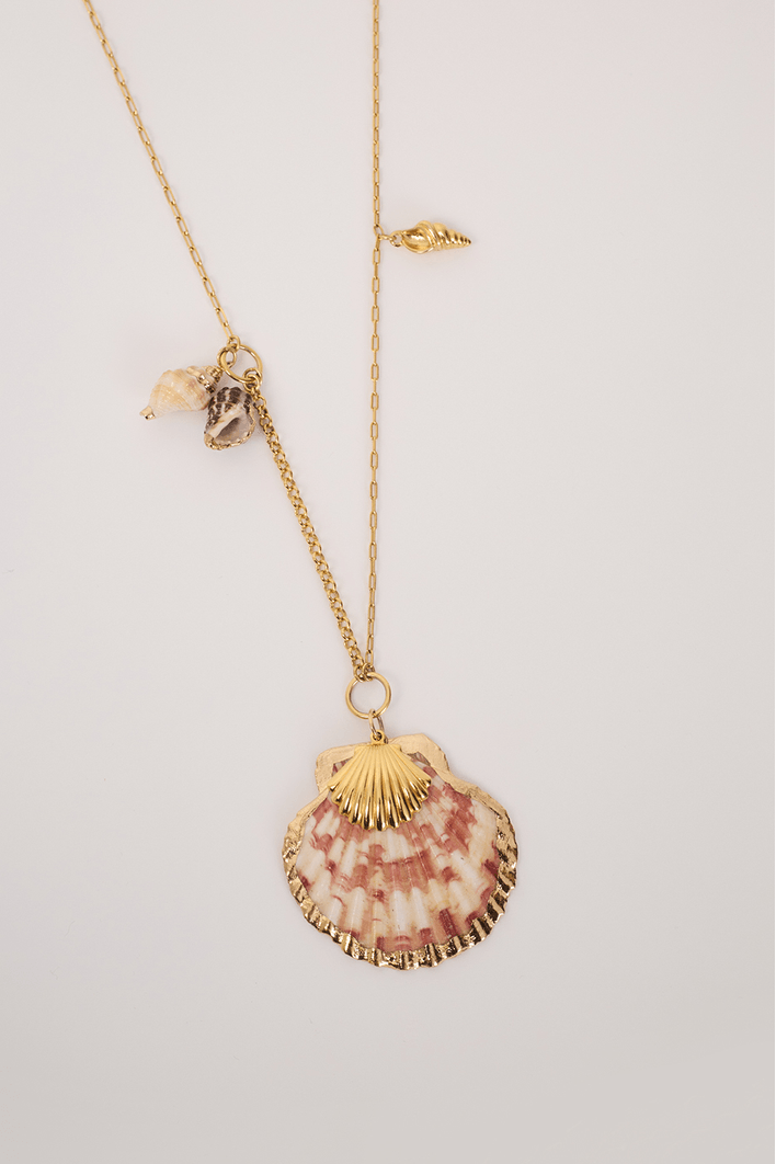 Colar Maxi Conchas