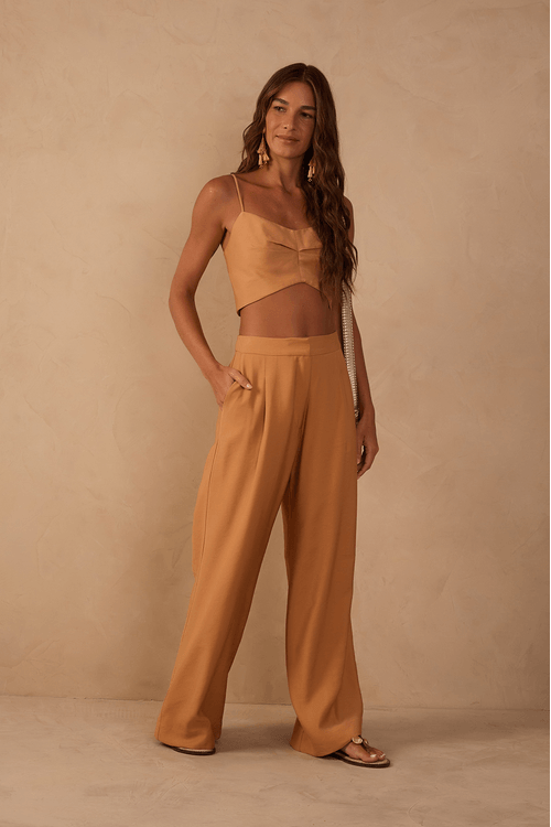 Calça Pregas Bolso Com Lapela