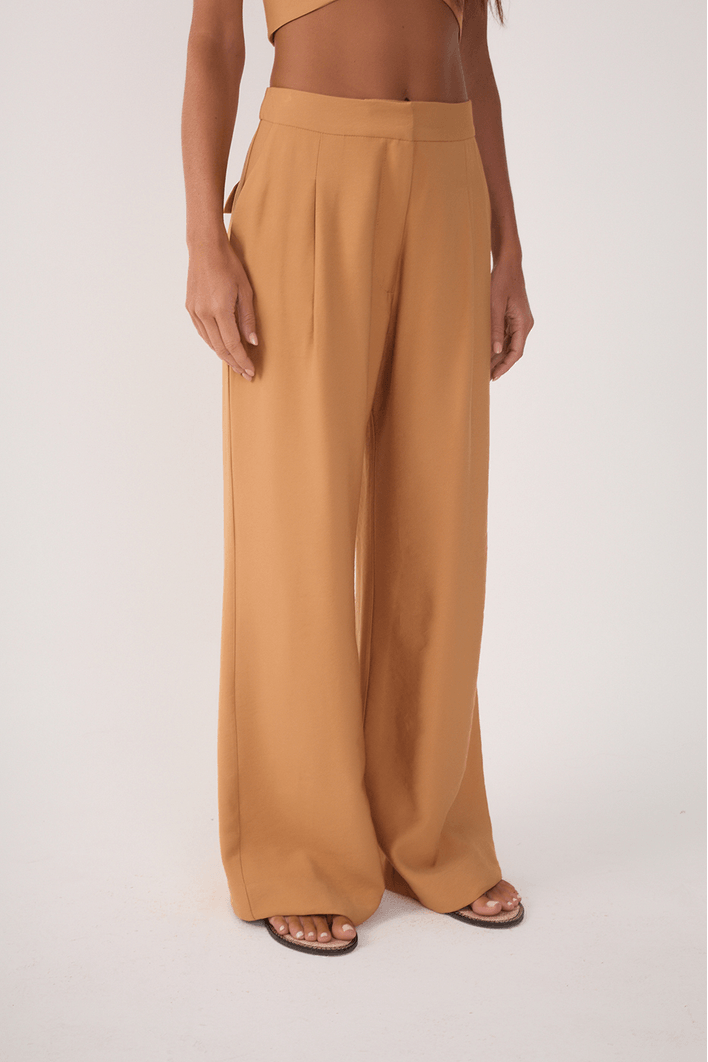 Calça Pregas Bolso Com Lapela