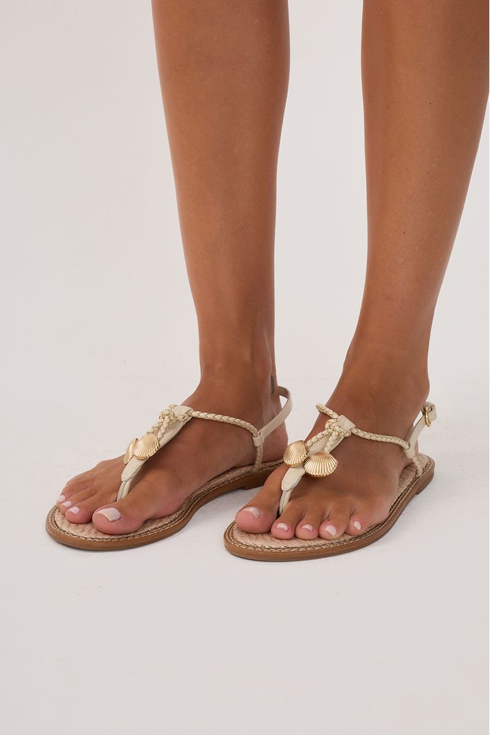 Sandália Rasteira Conchas