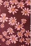 Vestido Cropped Estampa Margaridas Rosa