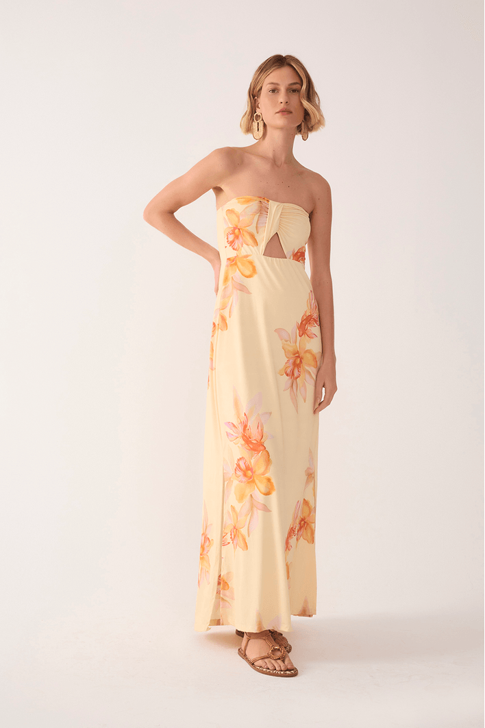 Vestido Jersey Estampa Beta