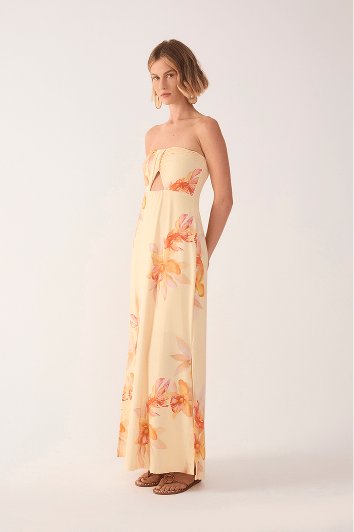 Vestido Jersey Estampa Beta