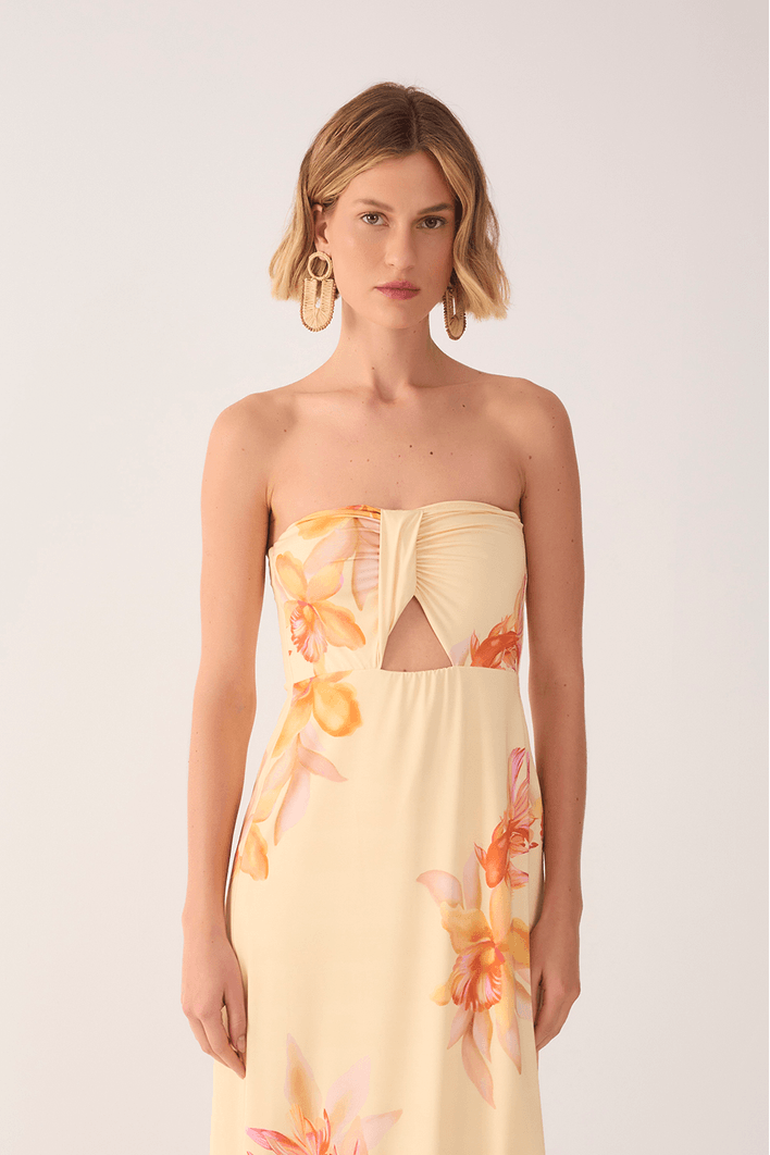 Vestido Jersey Estampa Beta