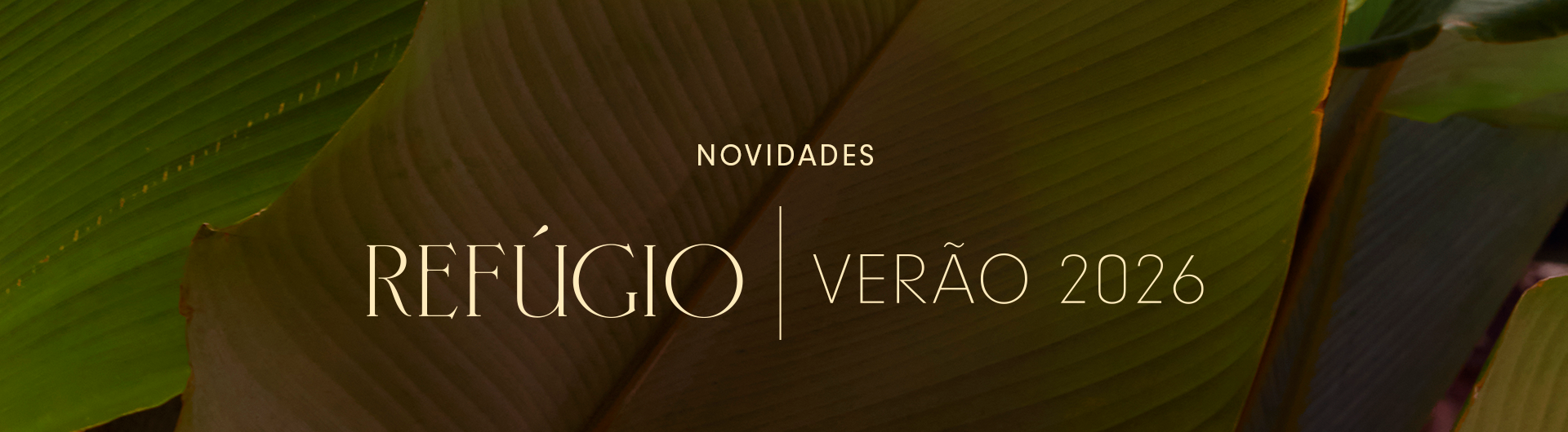 Imagem com fundo em tom marrom terroso e texto centralizado em branco. A frase “Novidades para você” aparece com destaque, sendo a palavra “Novidades” em itálico e fonte serifada, enquanto “PARA VOCÊ” está em letras maiúsculas e fonte sem serifa. O design é minimalista e elegante.